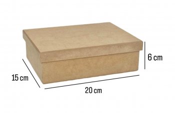 Caixa Tampa De Sapato 20X15X6