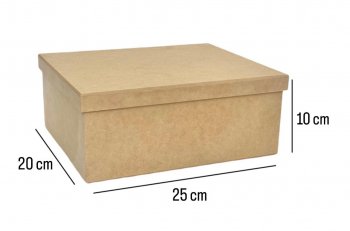 Caixa Tampa De Sapato 20X25X10