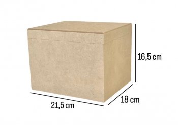 Caixa Para Foto Lisa Com 8 Albuns 21,5X18X16,5ALT